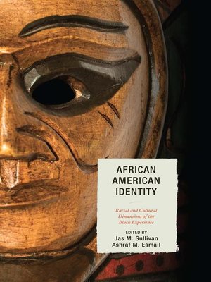 cover image of African American Identity
